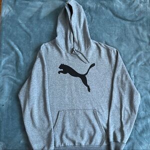 Puma Gray Hoodie Sweater